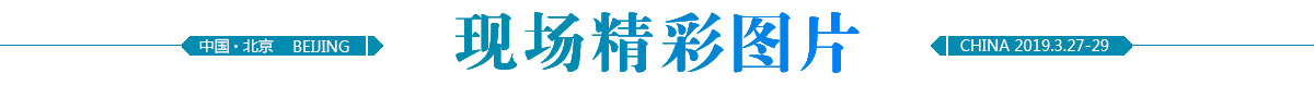 精彩圖片title
